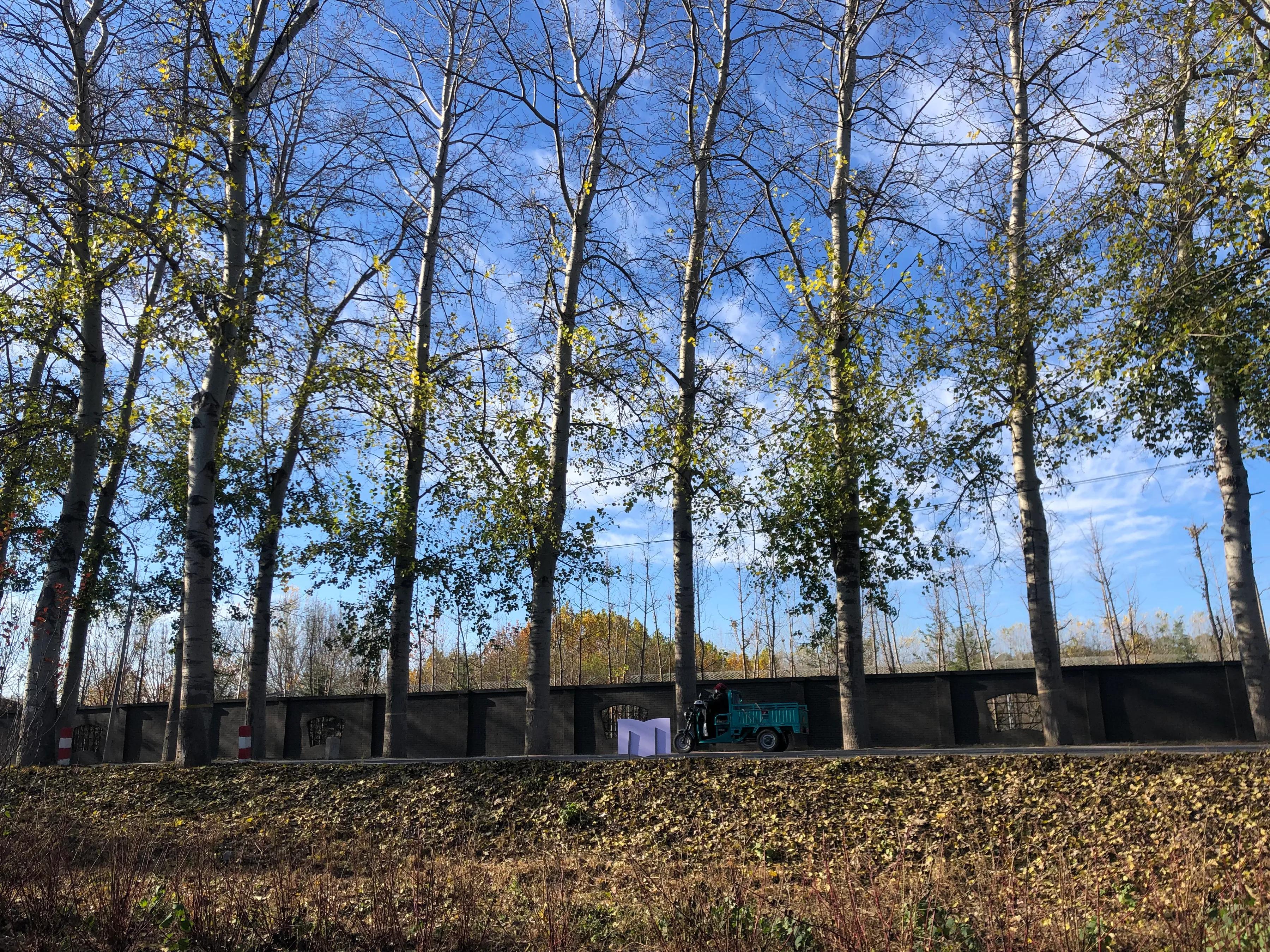 婕敾鍚堥泦,婕瘽鍘熺増