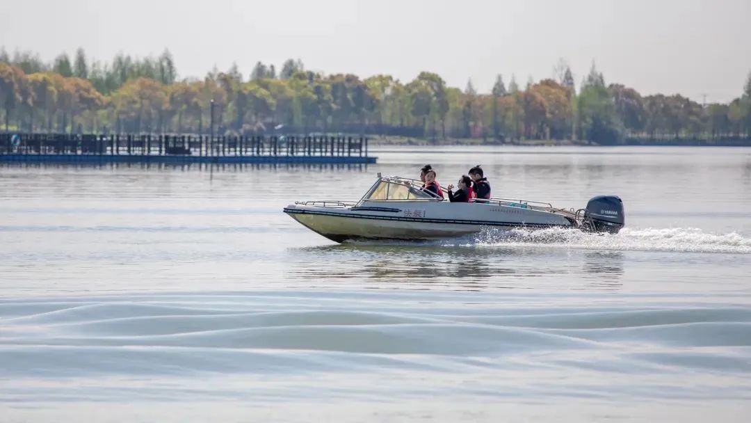 上海五一必打卡水上乐园推荐,上海好玩又免费的地方水上游