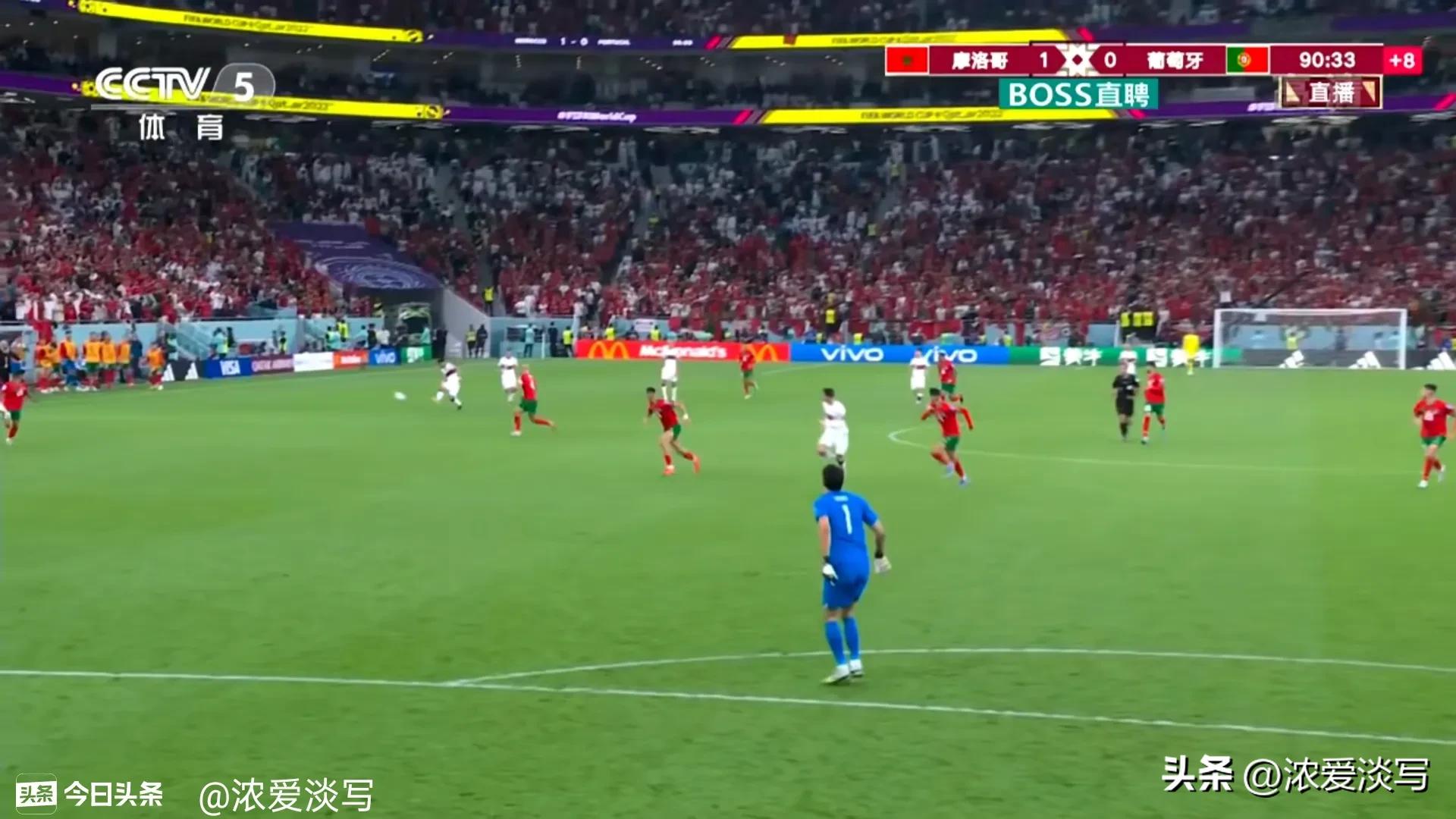 骄傲如她,骄傲如他小说推荐