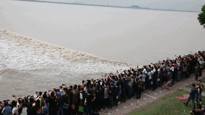 这座佛系安逸的江南老城被赞“全国最美森林火车站”