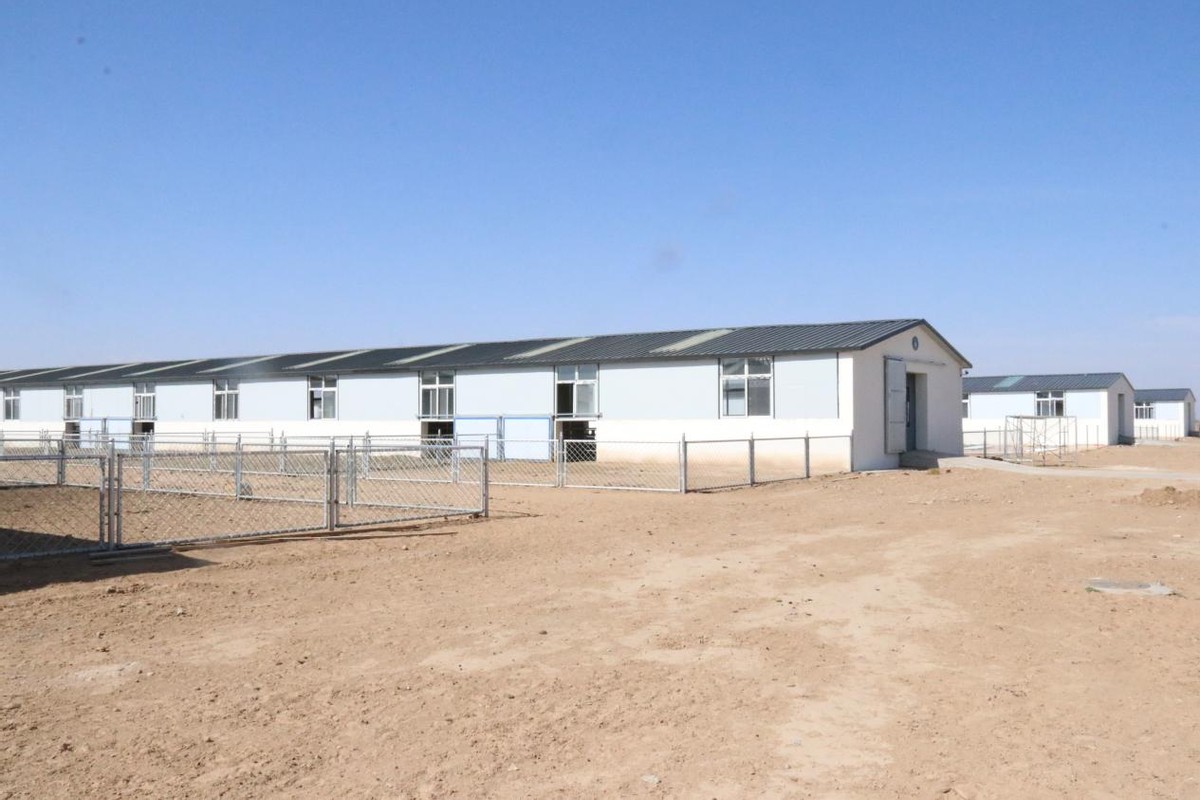 黑山羊产业发展带动乡村振兴,黑山羊带动乡村振兴