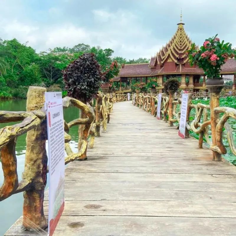 云南西双版纳花海美景,云南西双版纳景色如画