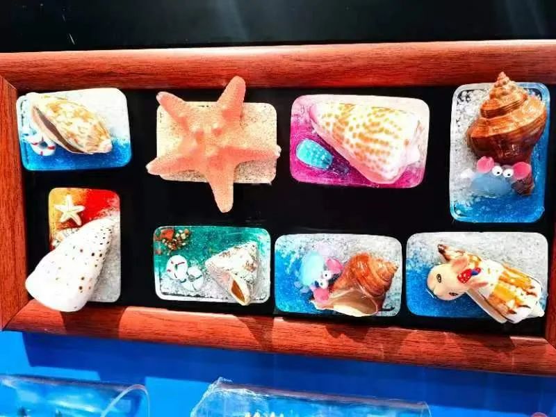 大连最美夏夜打开方式,大连最美时节