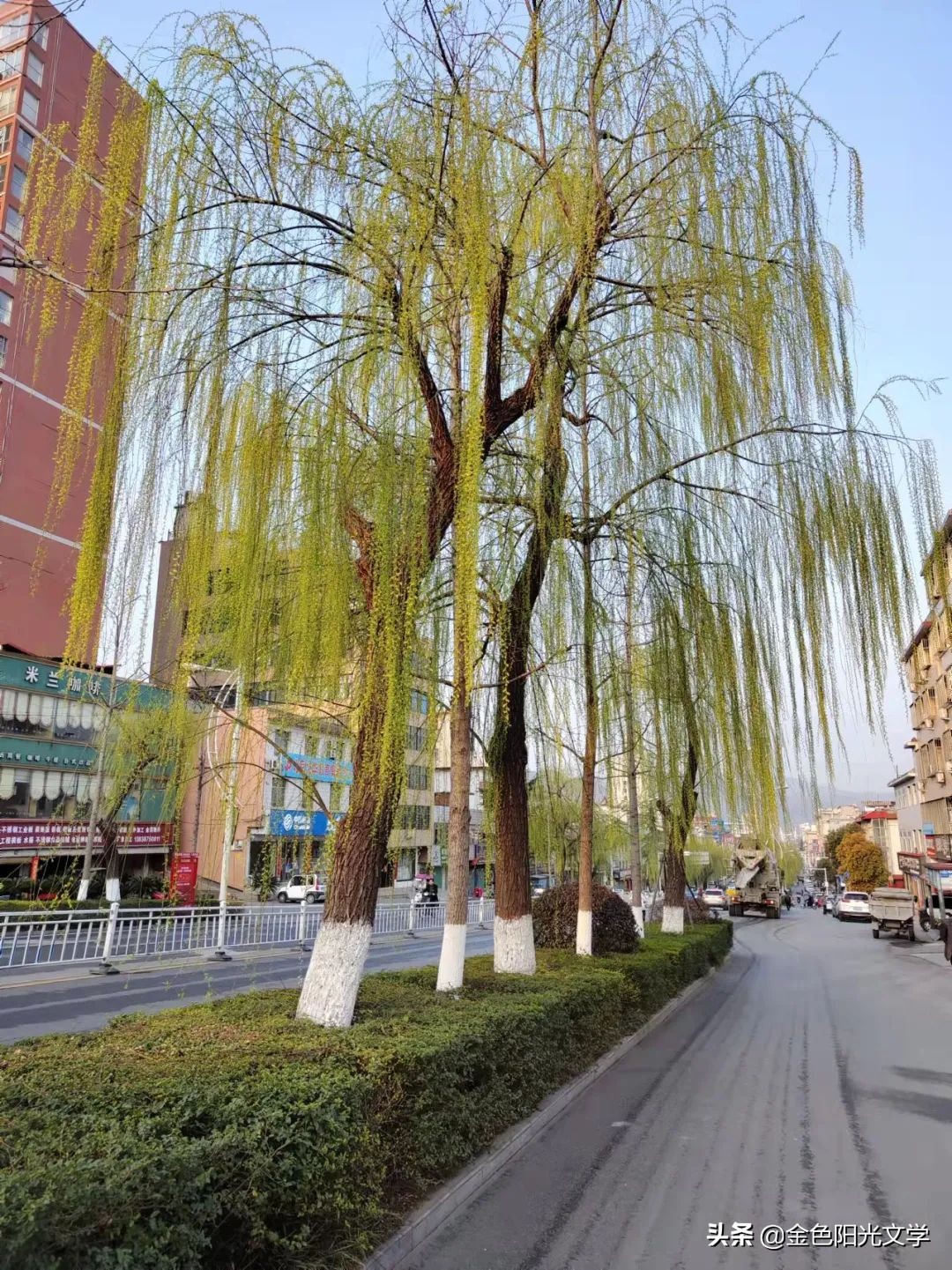 《“我”来了》《我的南瓜弟弟》《蜜蜂采蜜》