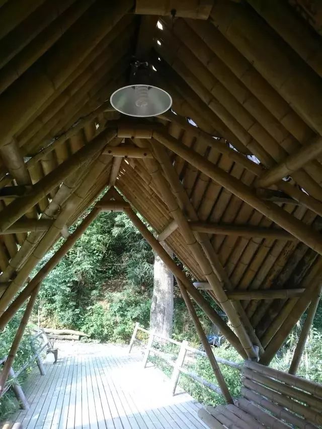 中国乡村改造项目,国内最成功的乡村改造案例