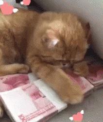 女朋友发来照片说刚运动完什么梗,女朋友发照片说刚运动完