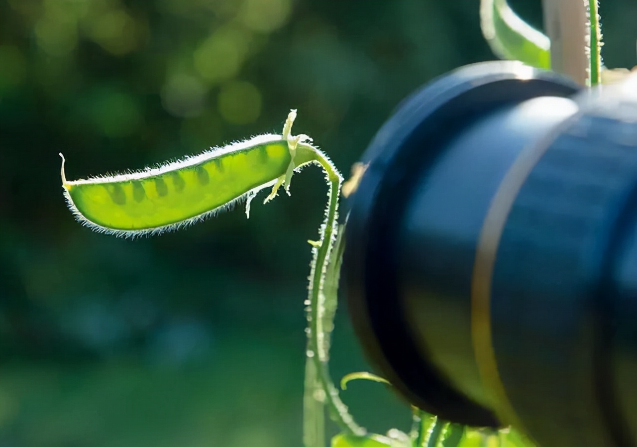 如何不用ps就让照片能眨眼睛,降低照片曝光ps