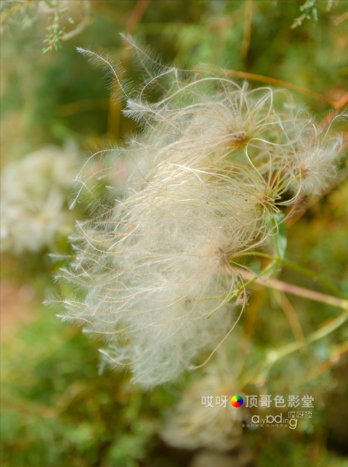 女司机带娃去新疆自驾游,带着女司机自驾游兰州