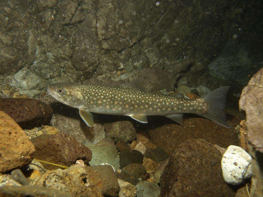 《中国大百科全书（第2版）》读书笔记02739-北冰洋