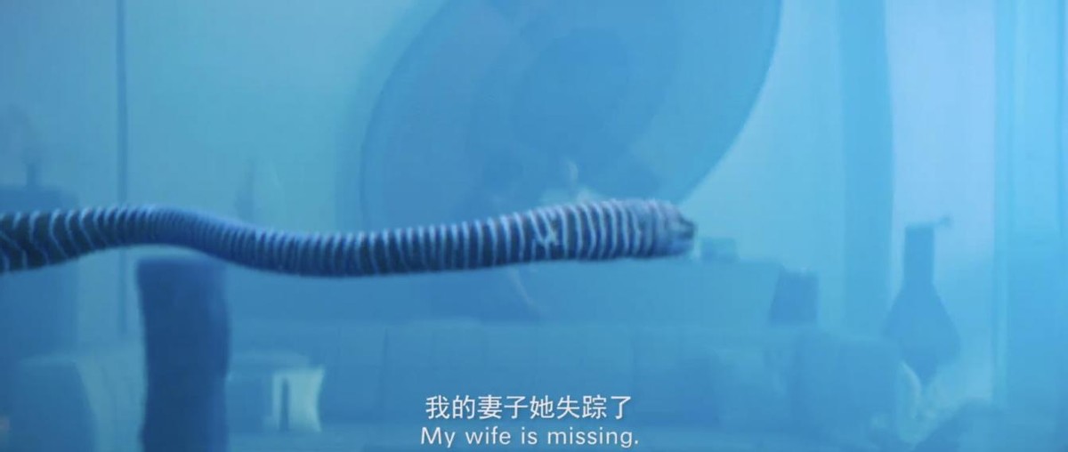 消失的她票房破20亿解说,消失的她票房35亿代表什么