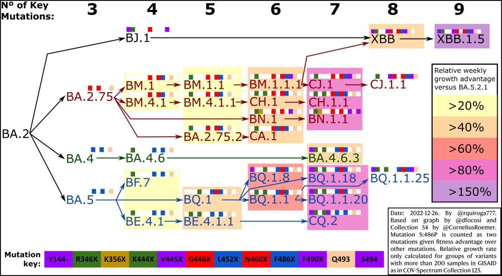 xbb变异毒株最新消息,火速蔓延