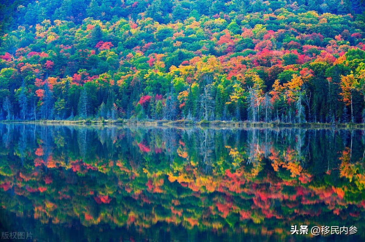 加拿大工签申请条件英语,加拿大工签申请条件雅思