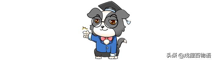 打雷下雨狗狗发抖,打雷狗狗害怕