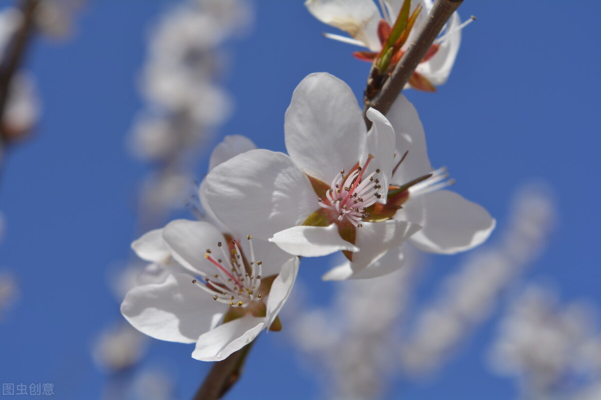 20个生活小妙招实测非常有用,20个生活小妙招大全