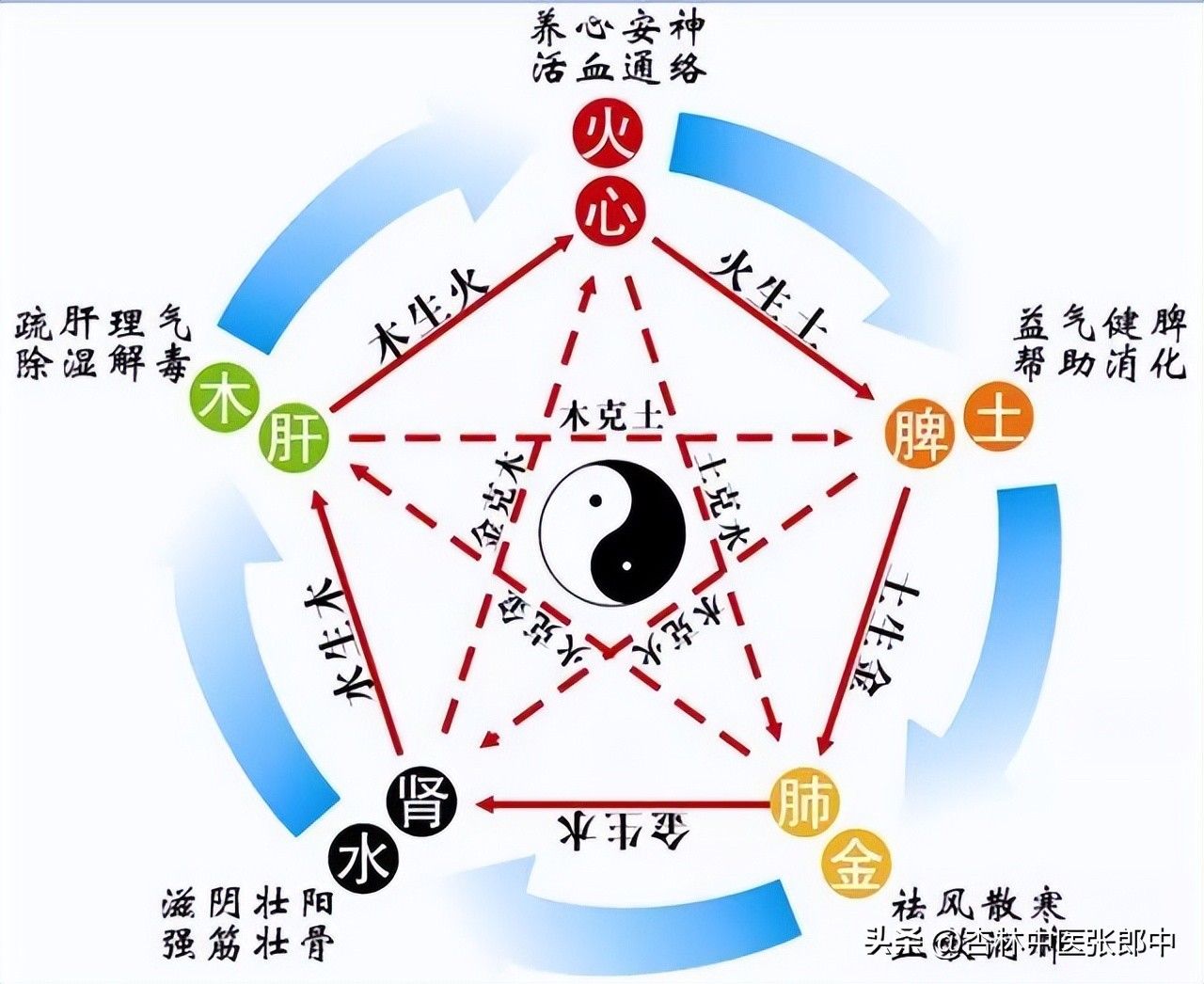 肾虚，不怕把病治反，就一味的补吧！调肾，实际就像调解夫妻吵架