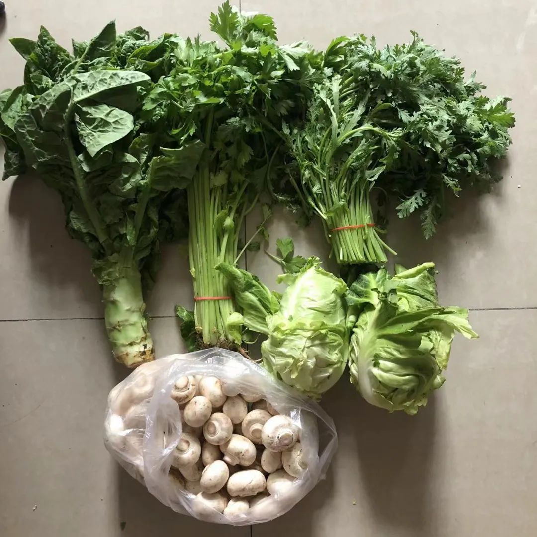 一个团长带队多少人,一个团长的日常