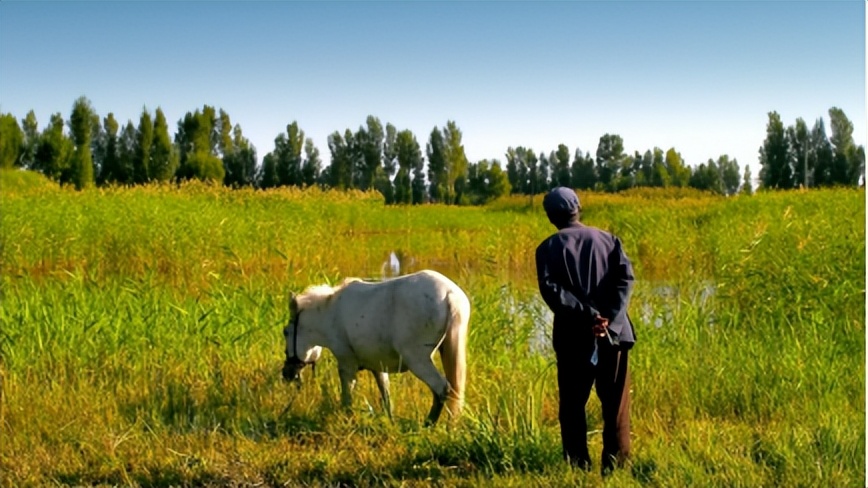 李睿珺电影创作概述,李睿珺对生命的意义