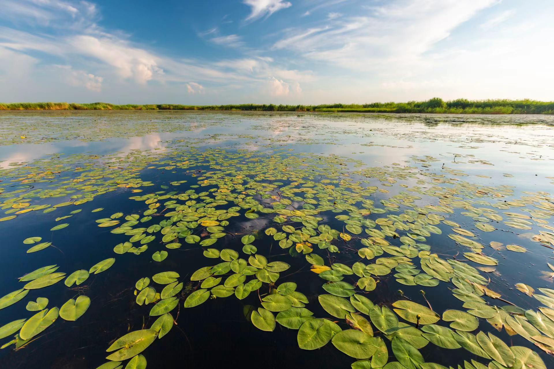 黑龙江宝清县：奋力打造东北样板绘乡村振兴壮美画卷