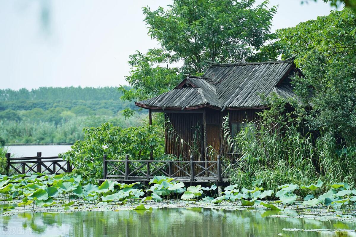 苏州这座城市怎么样,苏州最值得去哪个区