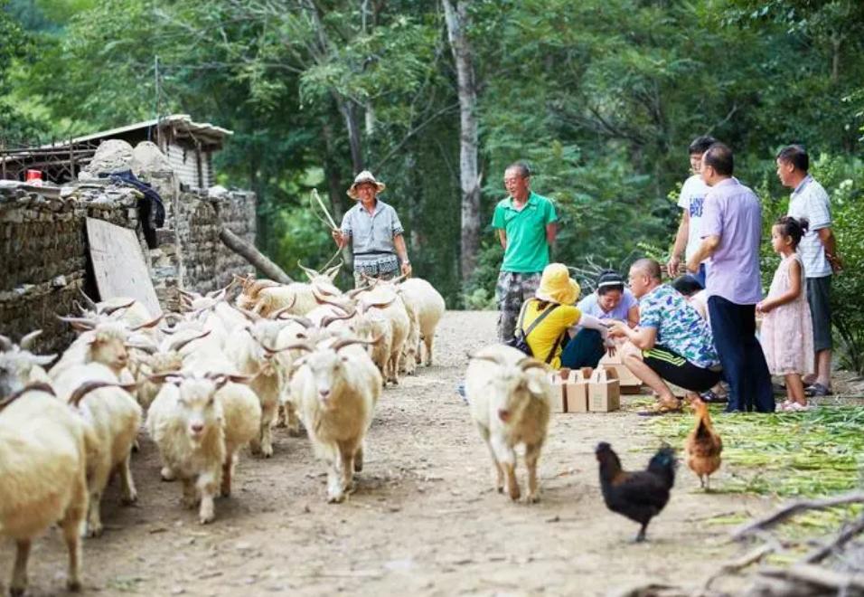 悍匪周二全落网记,悍匪周二全覆灭记