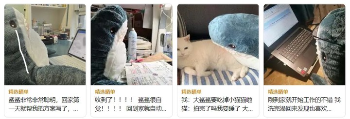 几十块的「雪糕刺客」让人心痛,几百块一只的毛绒玩具抢着买单