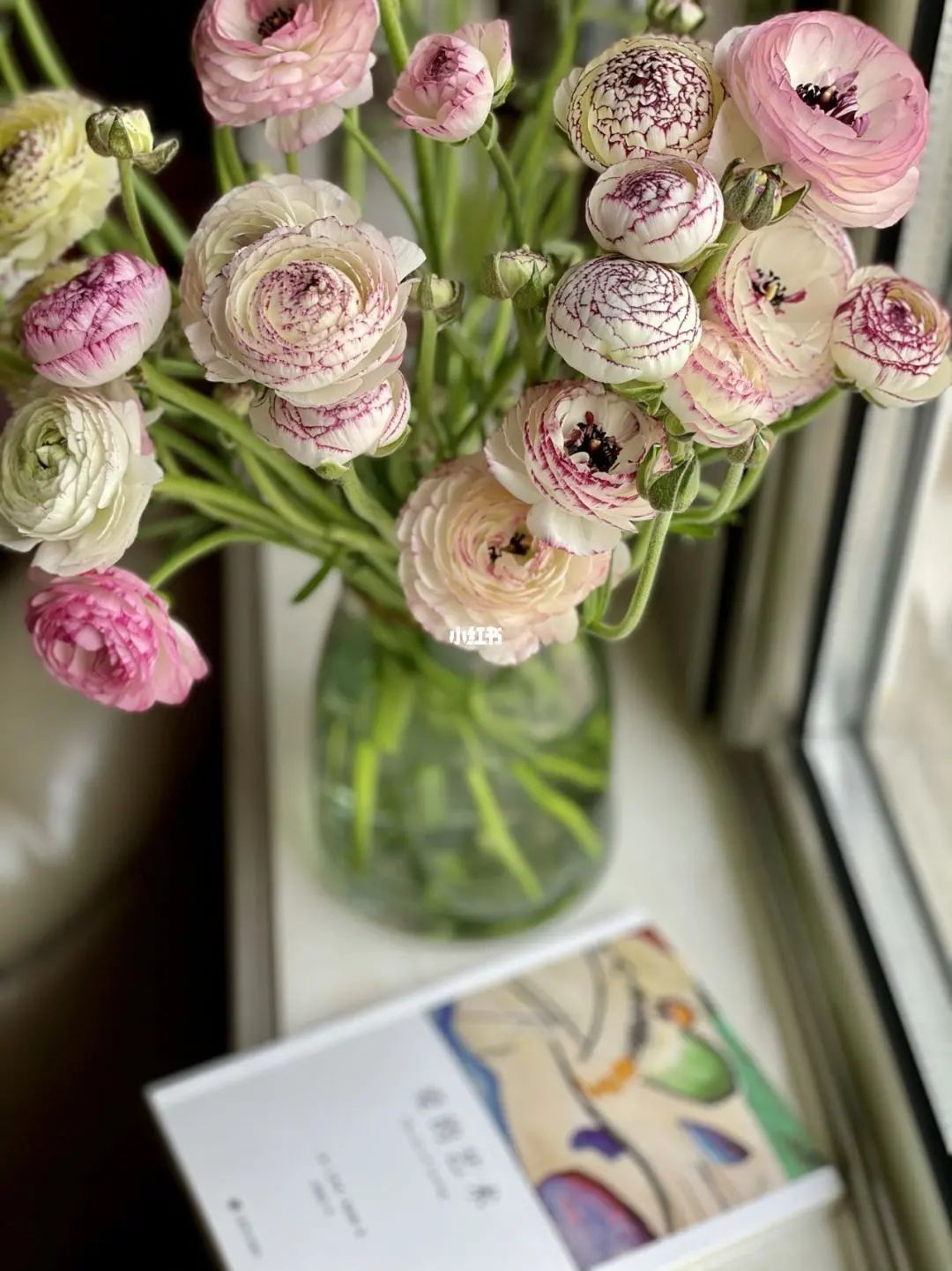 三月花事Vol.2|那些属于女神们的花