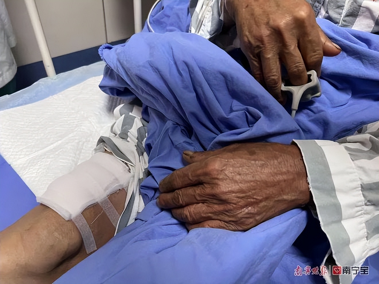 眼镜王蛇吃眼镜母王蛇真实记录,眼镜王蛇在蛇类中有天敌吗