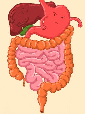 医生为什么不建议长期喝牛奶,这4类人不适合多喝牛奶