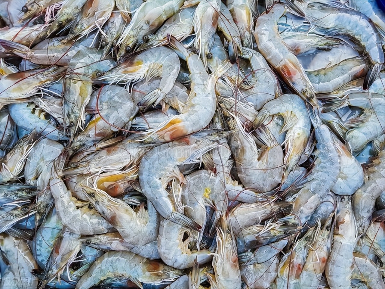 说谁是广西最低调的城市，答案一定是北海市！妥妥的广西第四城