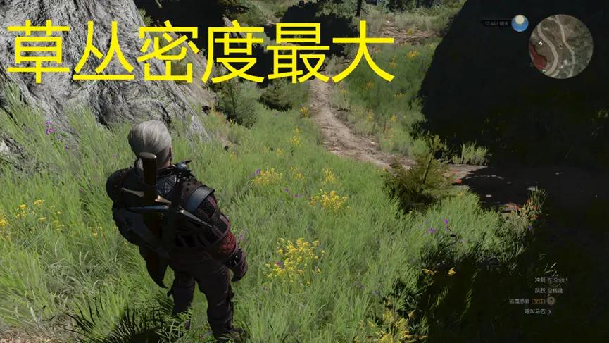 巫师3狂猎switch怎么调帧数,巫师3次世代3060画质最佳配置
