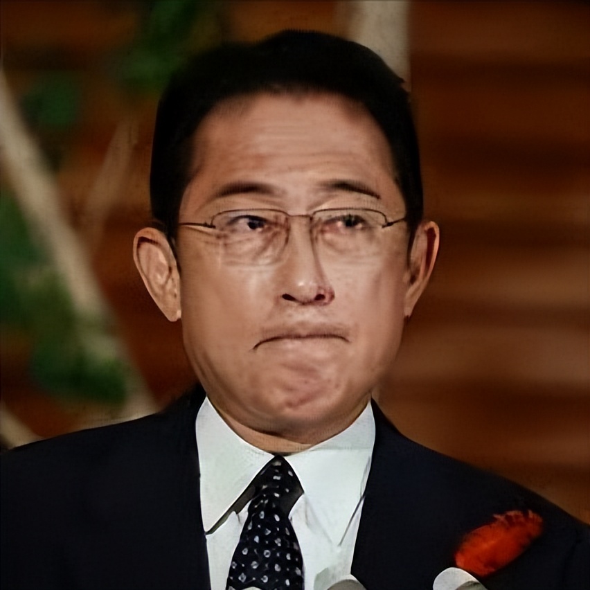 近日美国与日本同时发布对中国入境游客进行强制检查的通知