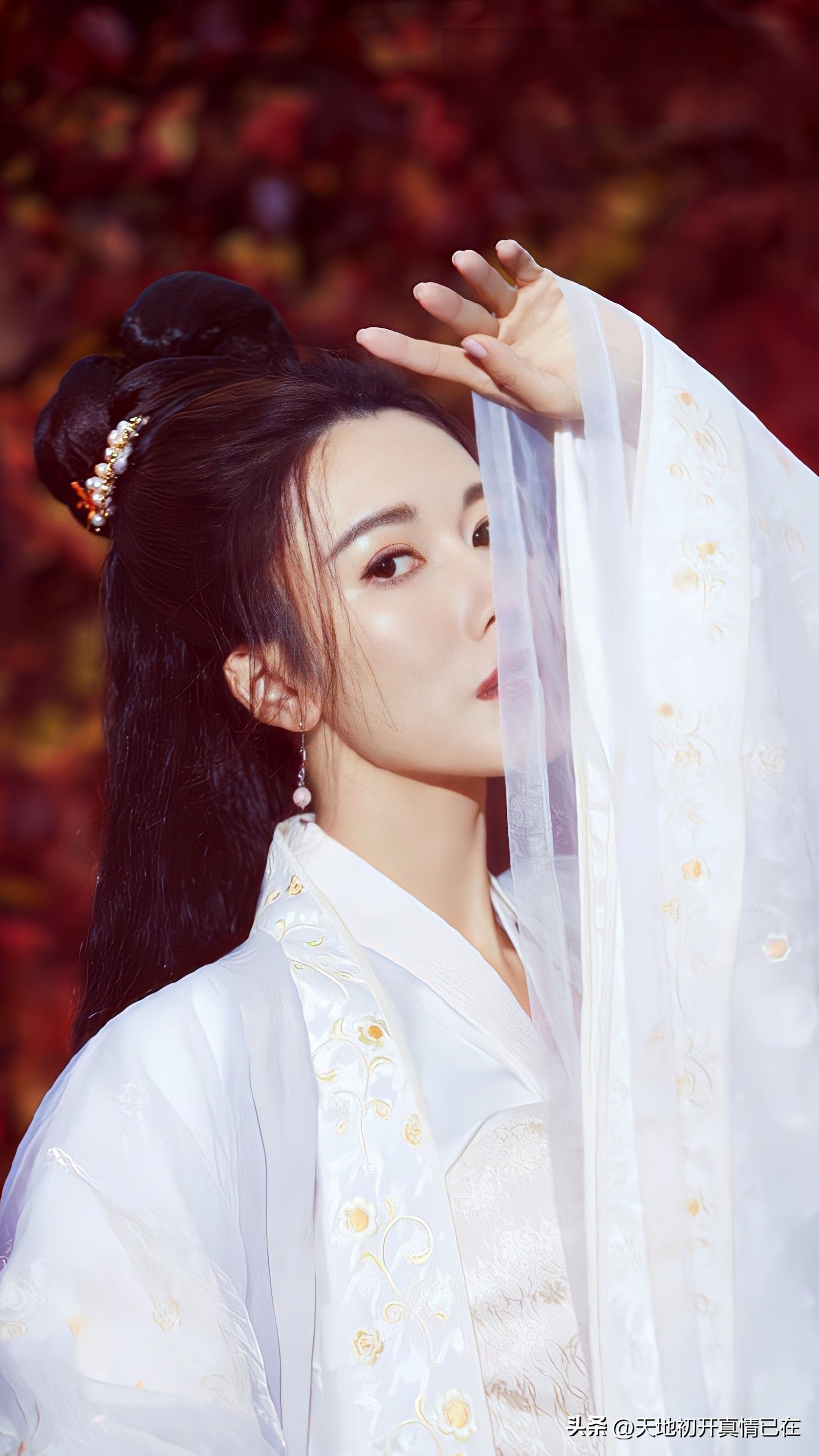 李施嬅高清写真,李施嬅图片欣赏