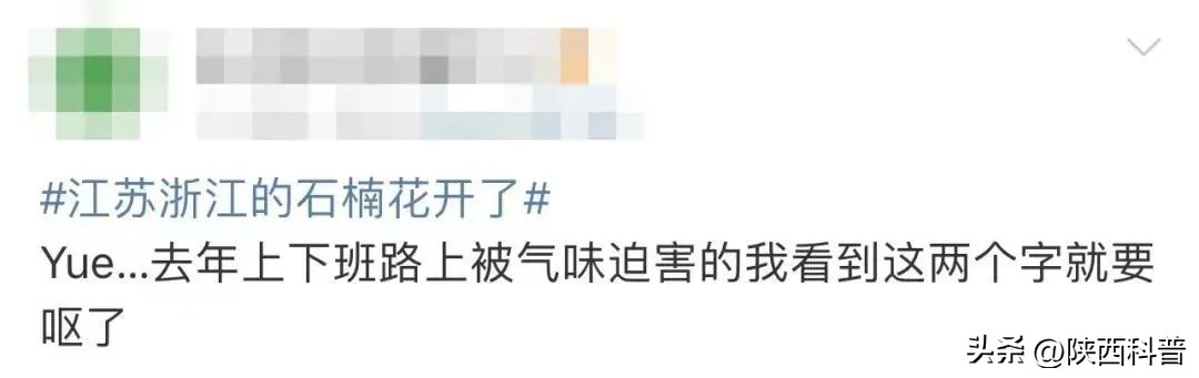 科技之春|“又腥又臭”上热搜！网友：左右“为楠”……专家：其他优点突出，忍耐一下