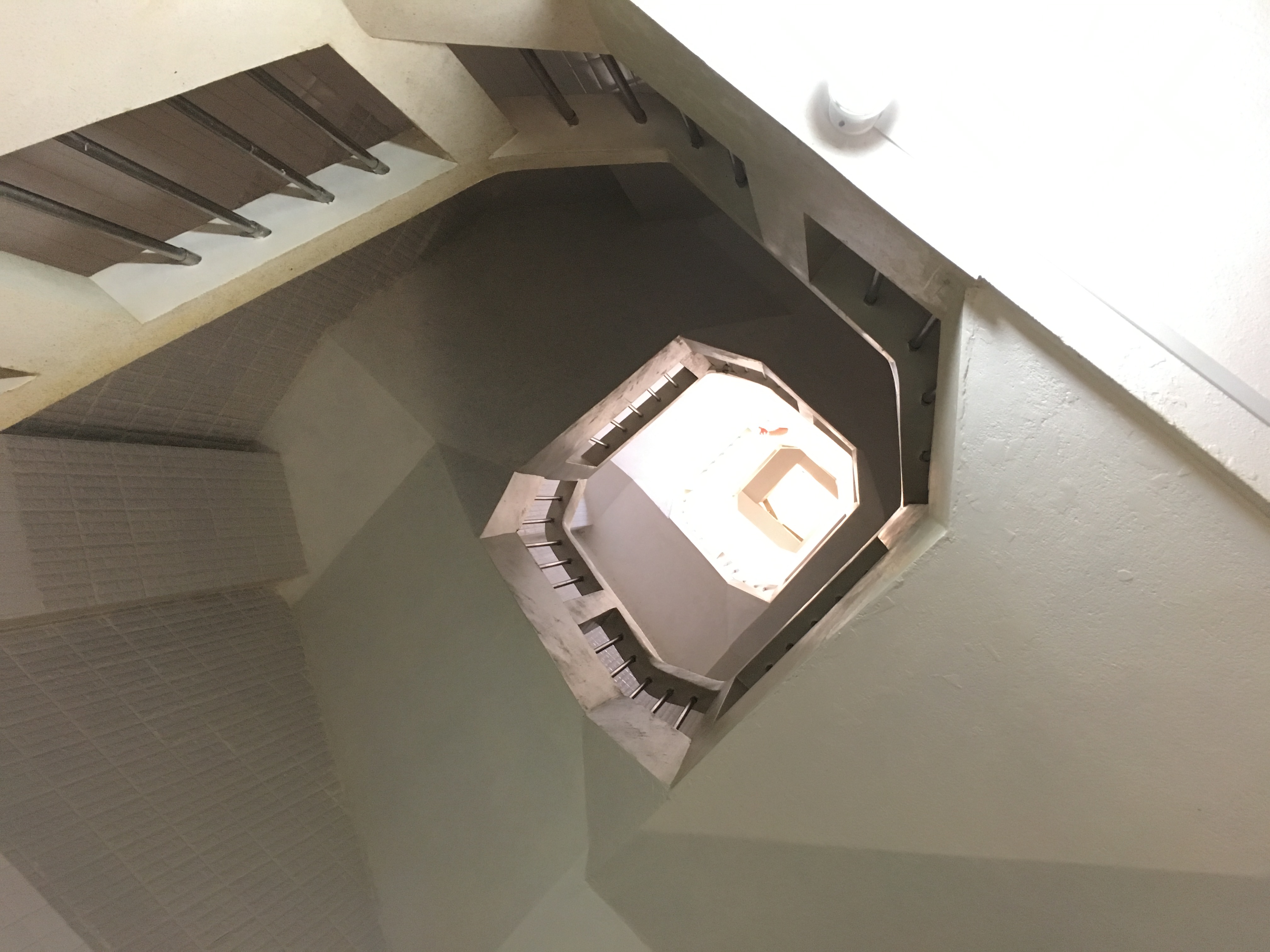 口是心非的越南——在羡慕中排华