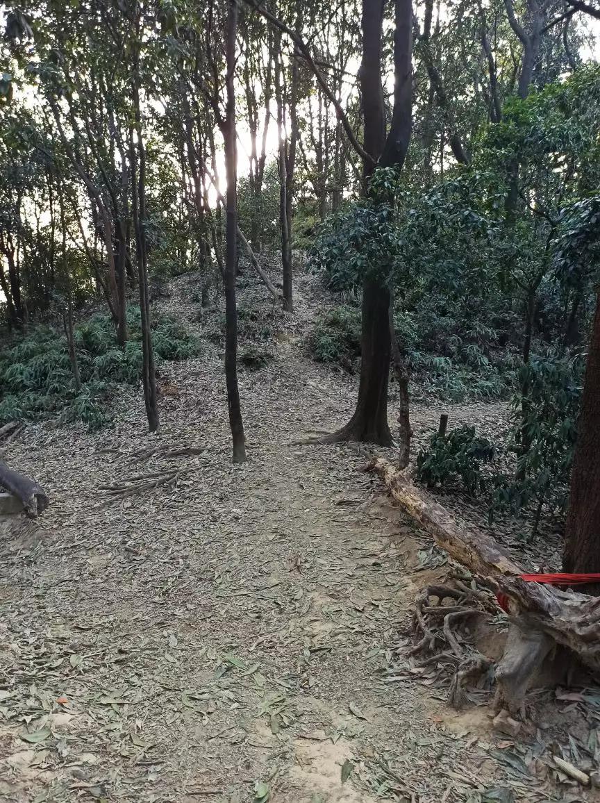 白云山适合徒步吗,一路徒步上白云山