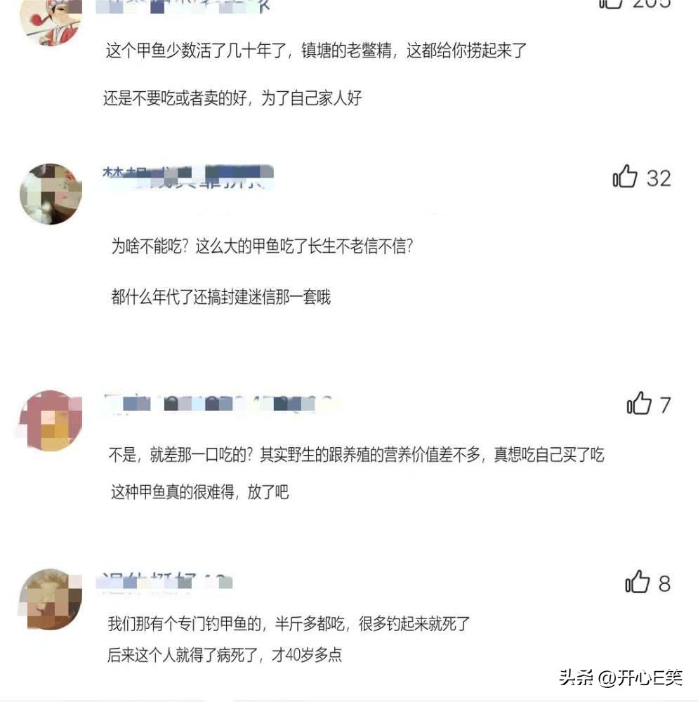 小伙在淤泥塘里面捉到大甲鱼,河里抓出大甲鱼