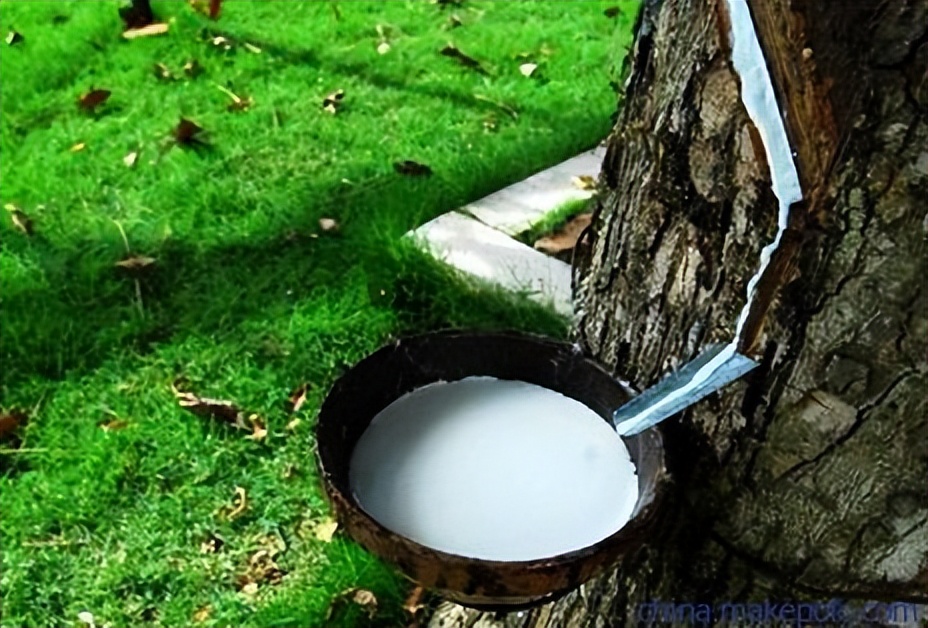 金橡树乳胶床垫怎么样,1.8米乳胶床垫价格