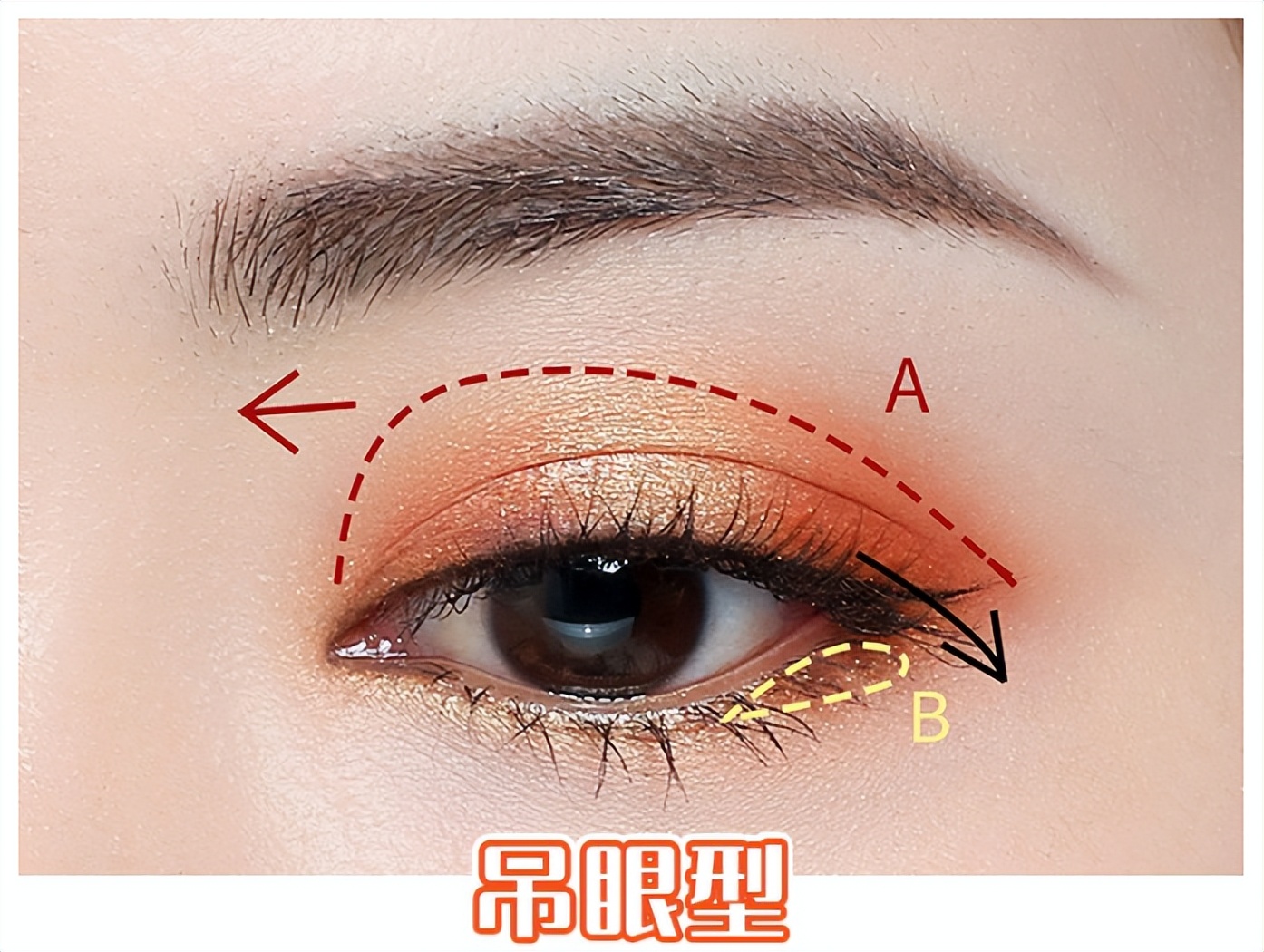 马卡龙眼影盘蓝色眼影画法教程,眼影画法九色眼影盘西柚色