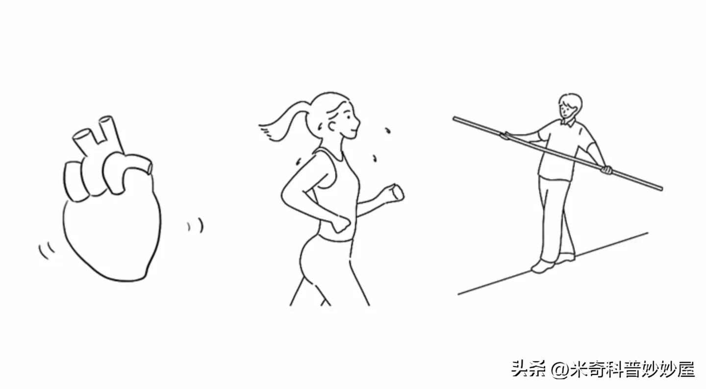 是大脑控制你，还是你控制大脑呢？