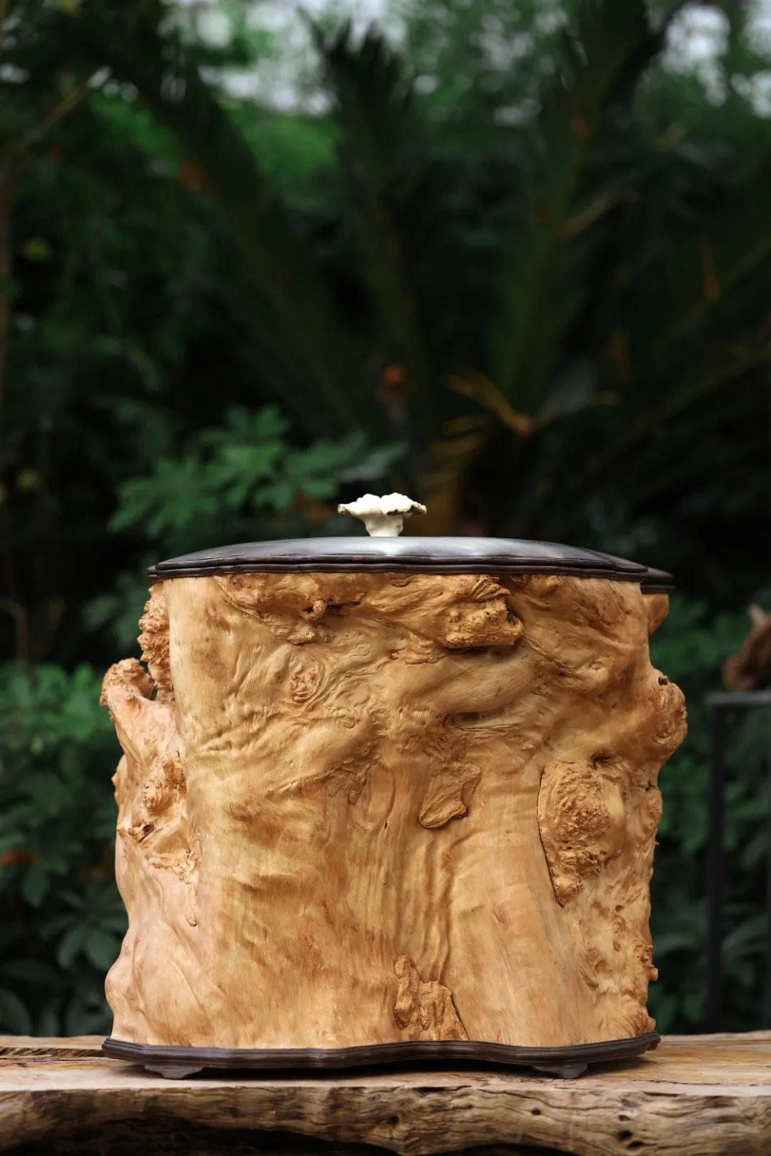 荔枝木广西,荔枝木大木墩