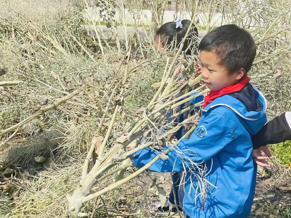 儿童友好学校的金钥匙在哪里？“幸福农场”玩出新高度