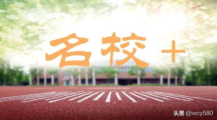 “苏山”、“永安”、“第X小学”？从校名之争说开去