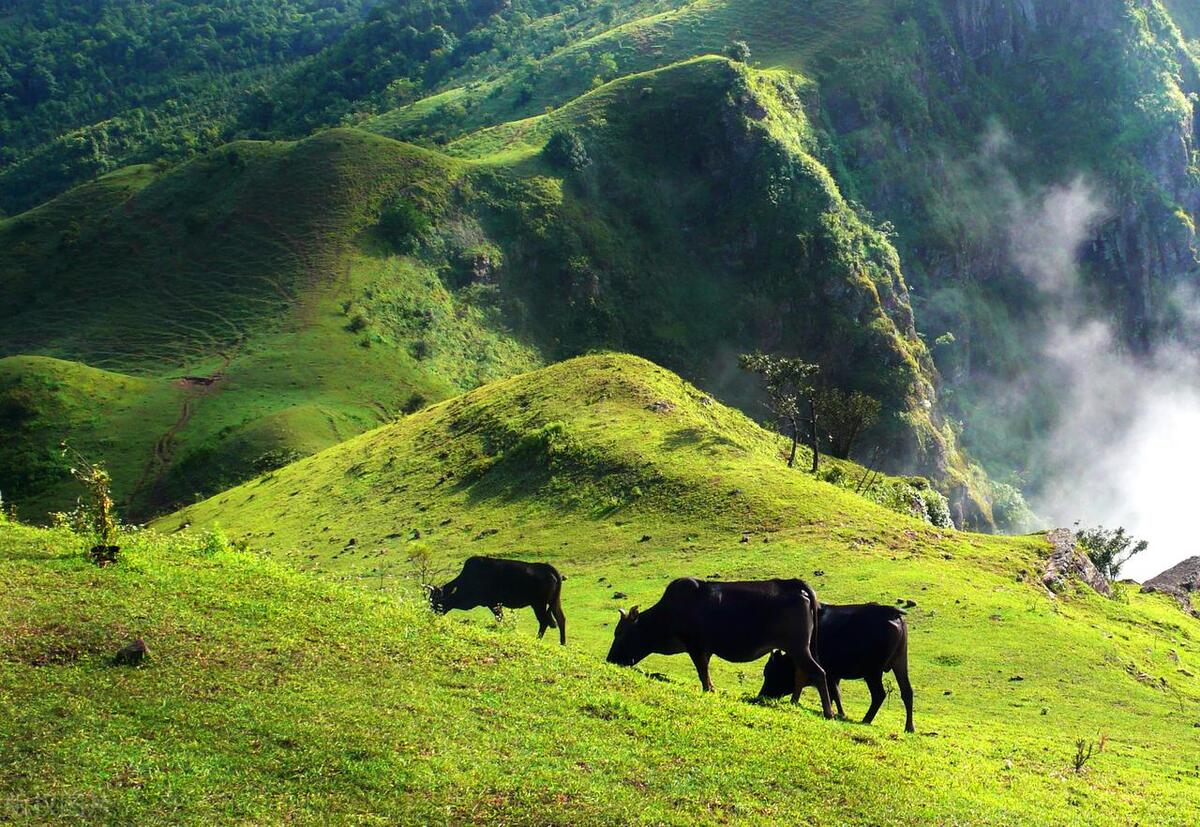 云浮出发湖南湘西详细攻略3天,云浮出发湖南旅游详细攻略3天