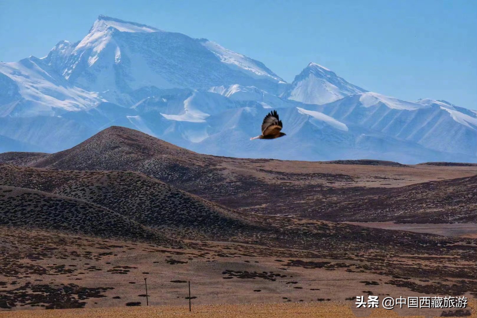 藏西秘境在阿里,阿里地区藏西秘境在哪里