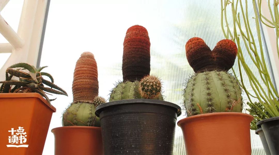 讨厌一个人最正确的处理方式,夫妻讨厌一方最好的处理方式