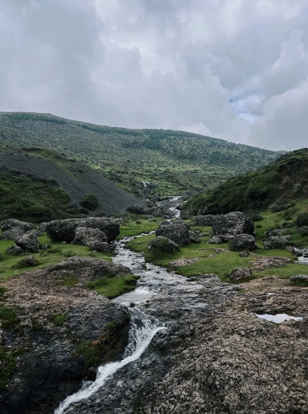 昭通大山包一览众山,昭通市昭阳区大山包乡