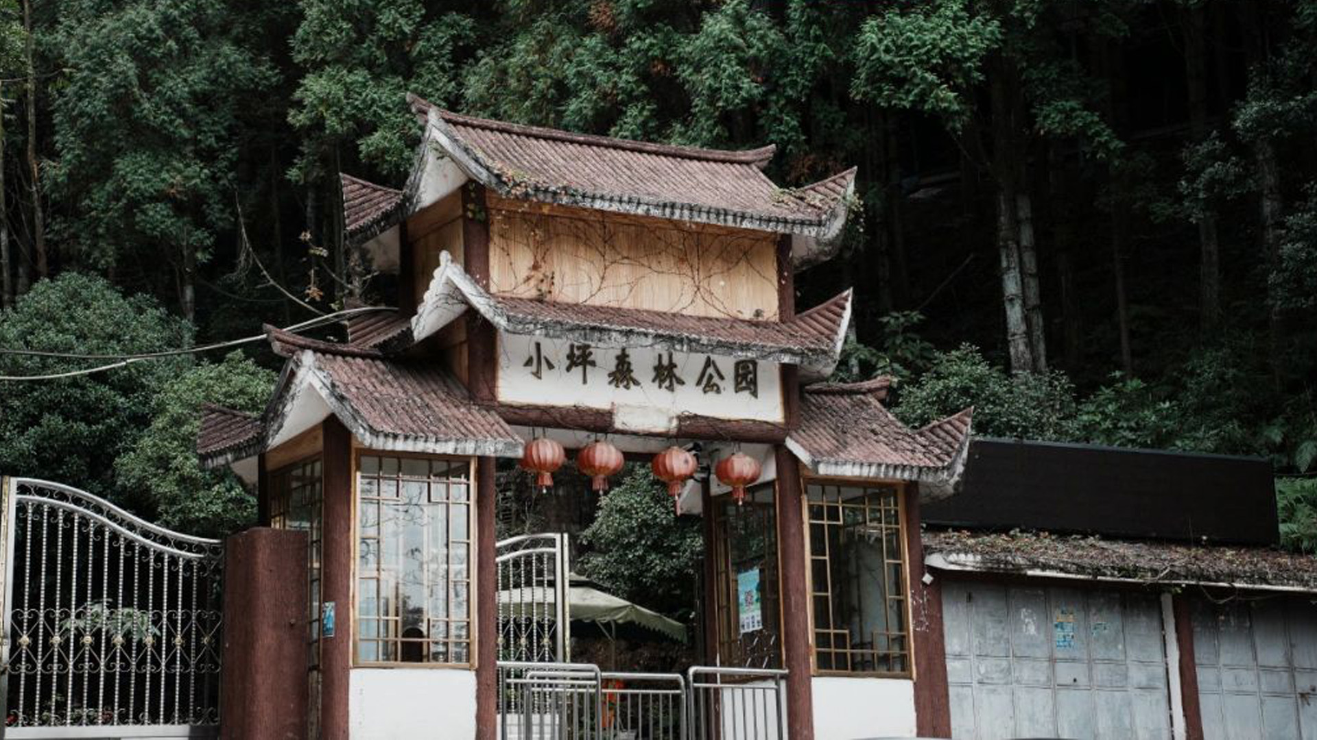 厦门森林公园免费景点,厦门森林旅游