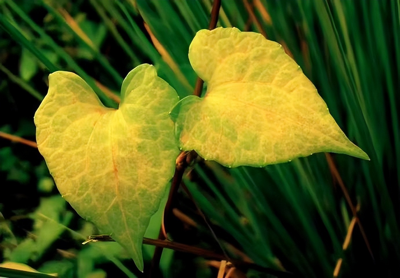 男女之间的10个真相太扎心了,男女之间真正应该了解的是什么