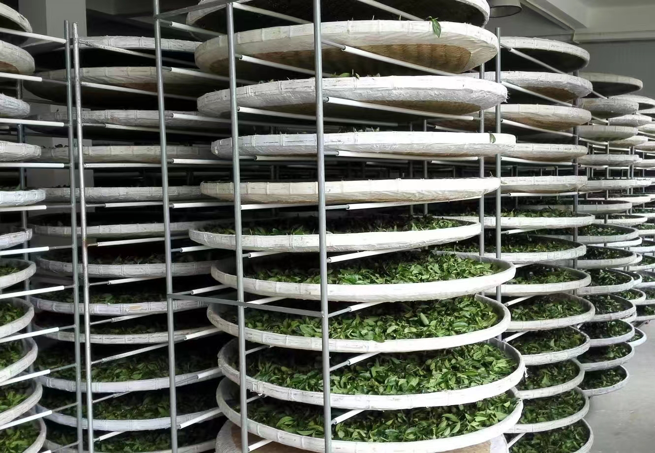 别把普洱茶当韭菜！不只是带货人，茶农、茶商、茶客也要共同维护