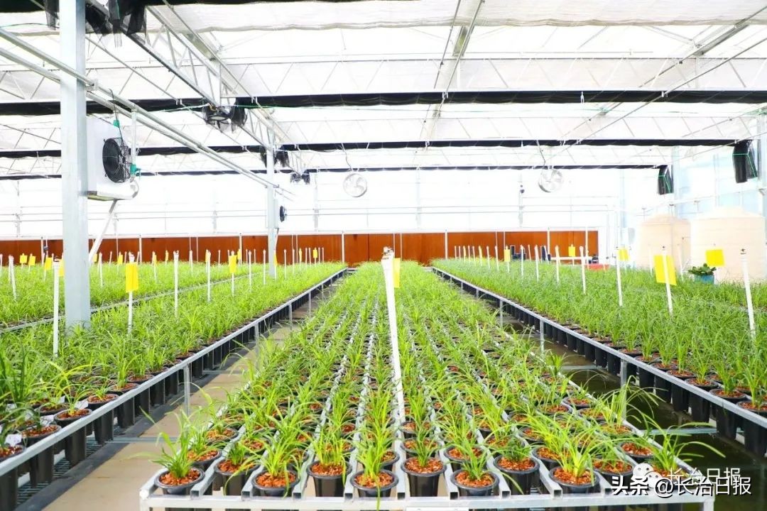 沁河生态景观综合治理,沁源生态修复